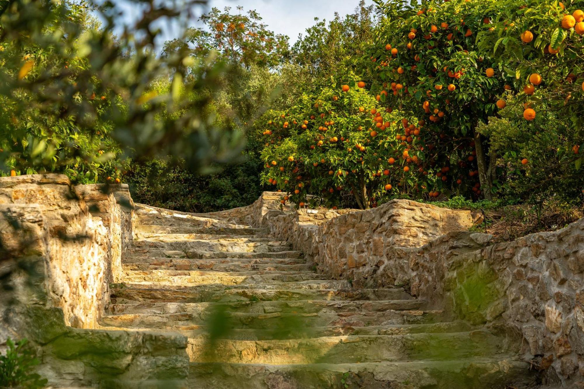 Ammou Area Hébergement de vacances Amoliani