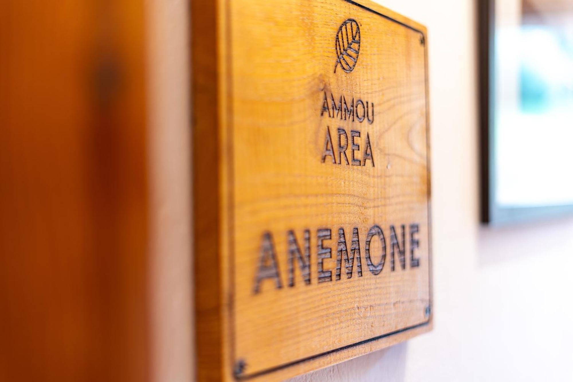 Ammou Area