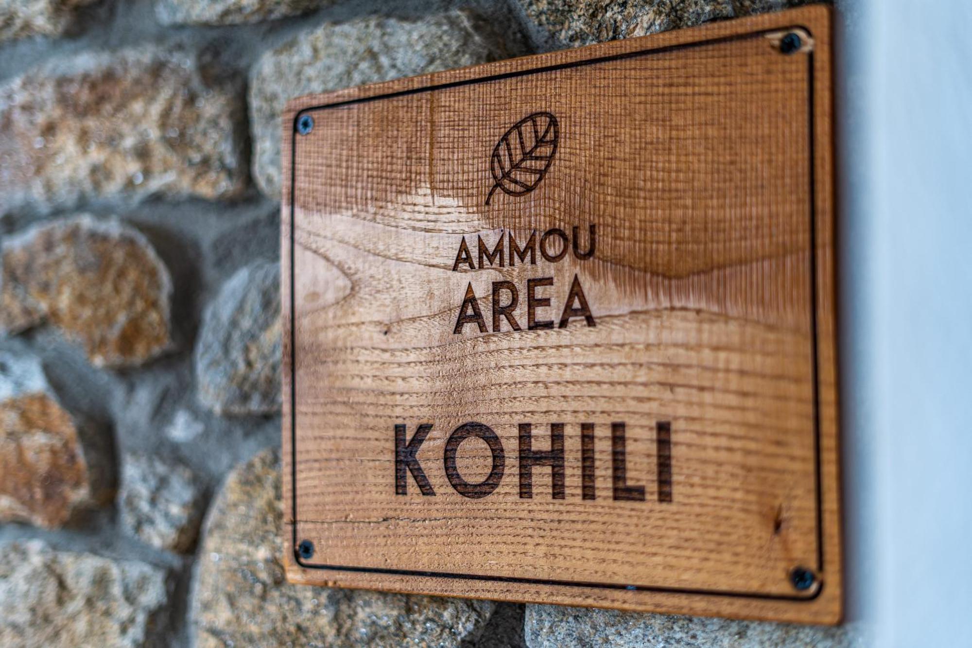 Ammou Area Holiday home Ammouliani